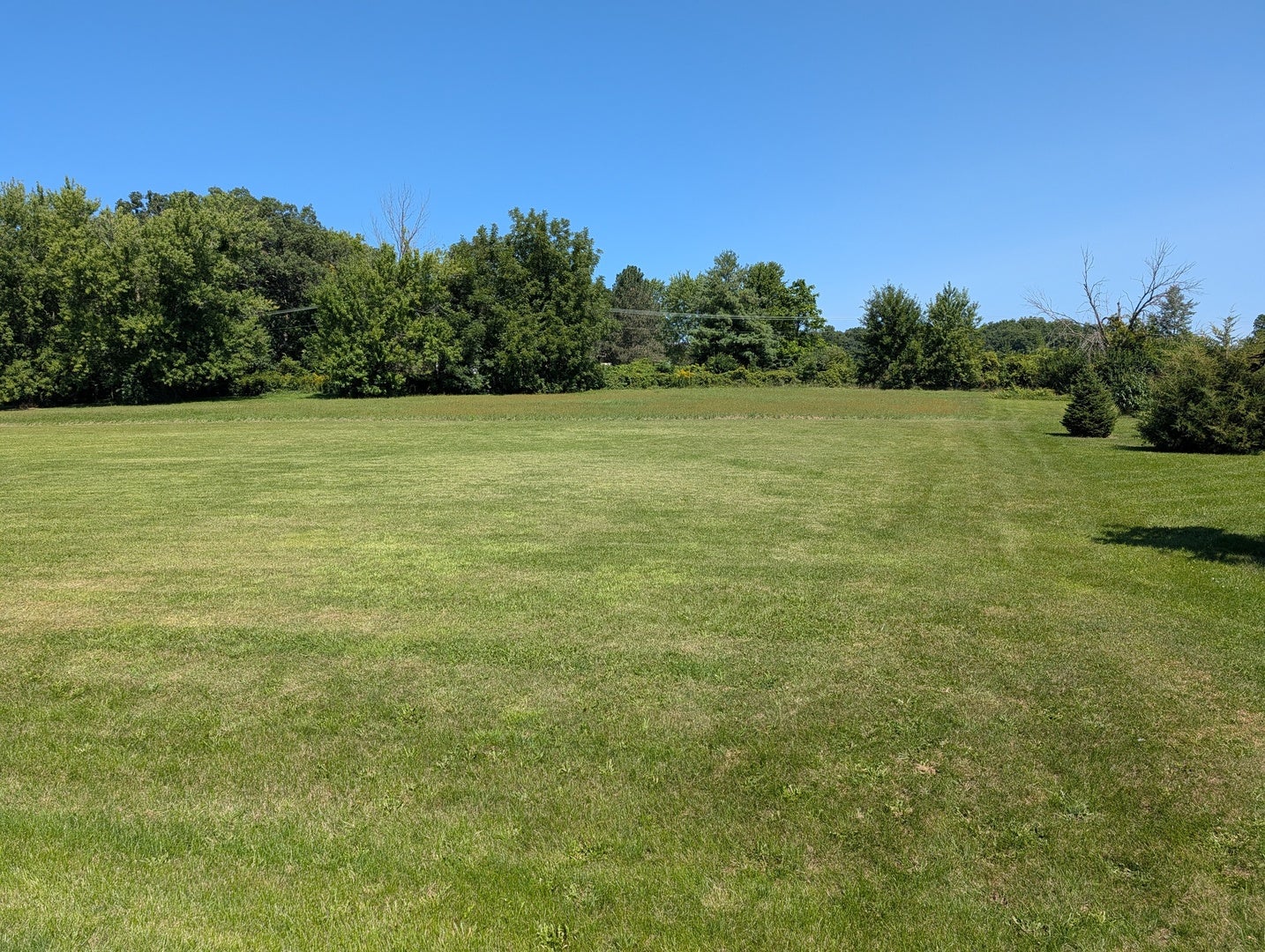 323 Forestcliff Court