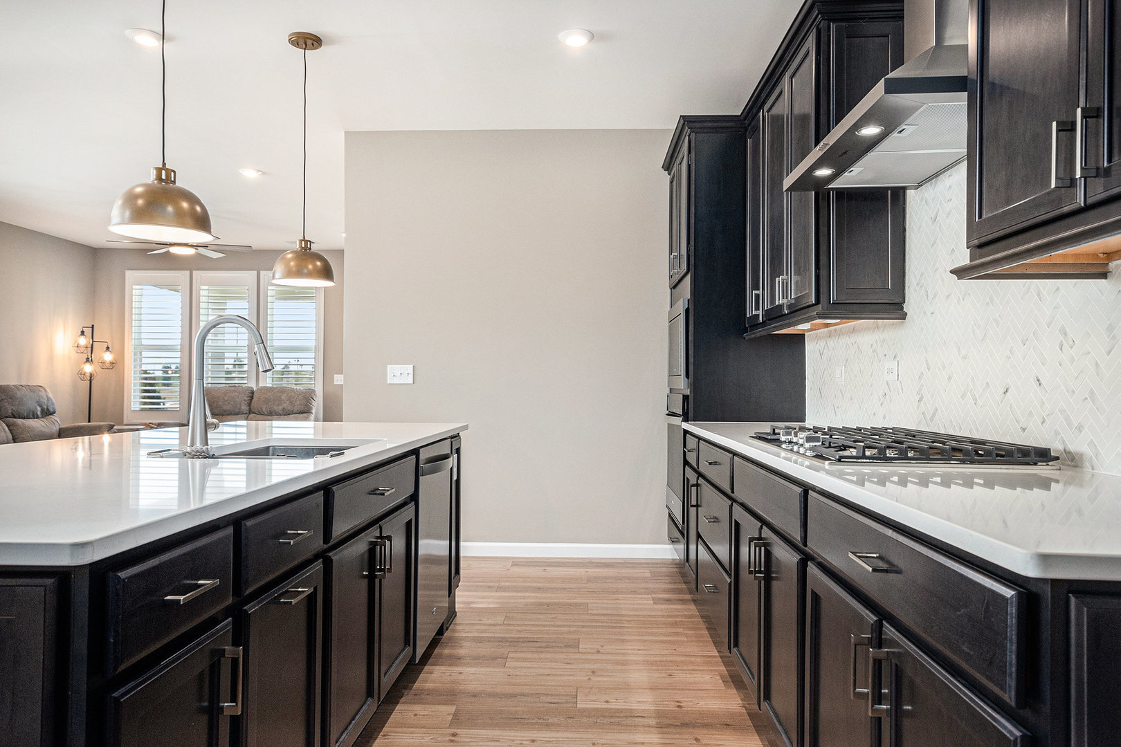 3207 Dove Mountain Drive