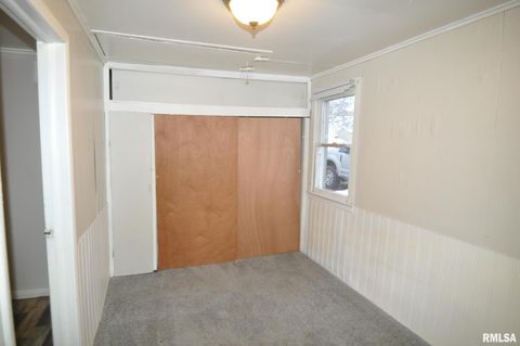 Tiny photo for 224 4TH Street, Colona, IL 61241 (MLS # QC4270021)