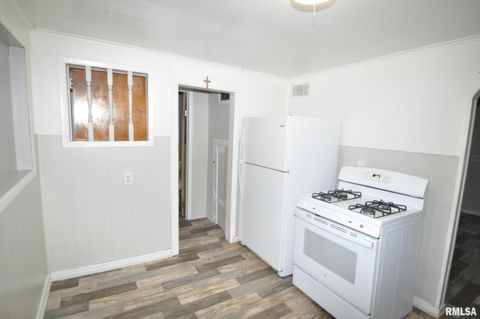 Tiny photo for 224 4TH Street, Colona, IL 61241 (MLS # QC4270021)