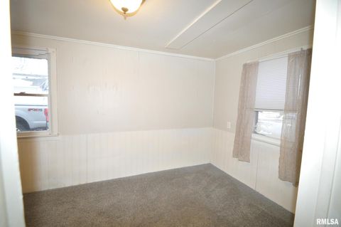 Tiny photo for 224 4TH Street, Colona, IL 61241 (MLS # QC4270021)