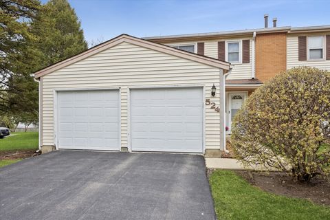 Tiny photo for 524 Monroe Road, Bolingbrook, IL 60440 (MLS # 12586737)