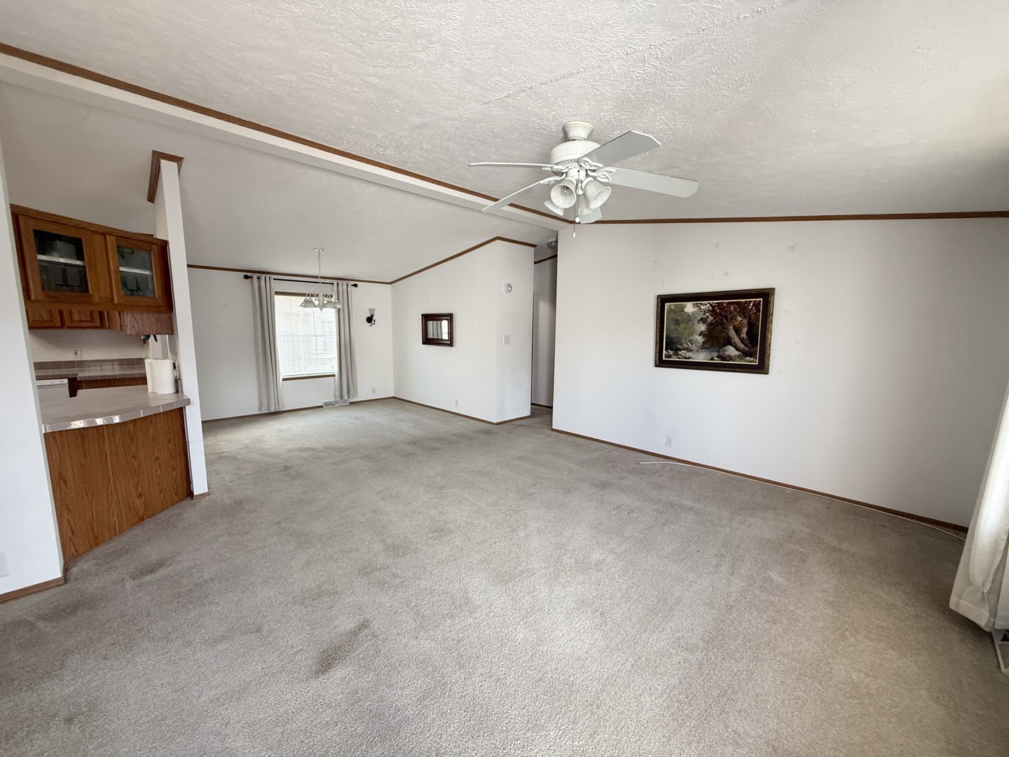221 Begonia Drive