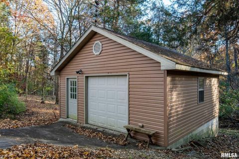 Tiny photo for 402 Majestic Oak Drive, Murphysboro, IL 62966 (MLS # QC4269333)