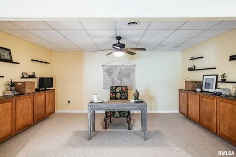 Tiny photo for 402 Majestic Oak Drive, Murphysboro, IL 62966 (MLS # QC4269333)