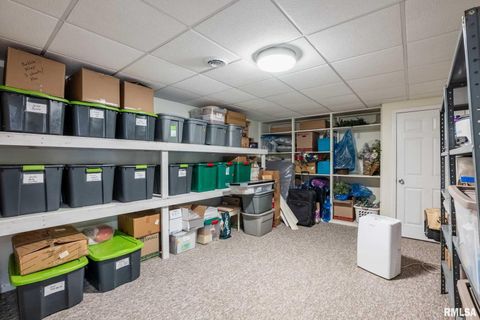 Tiny photo for 402 Majestic Oak Drive, Murphysboro, IL 62966 (MLS # QC4269333)