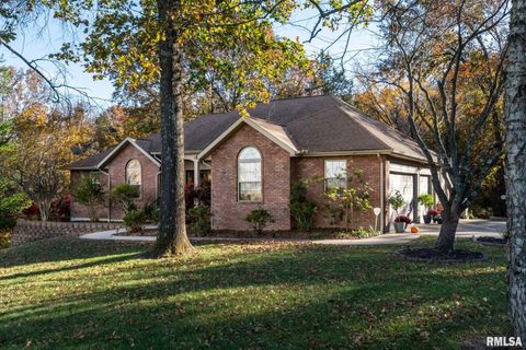 Tiny photo for 402 Majestic Oak Drive, Murphysboro, IL 62966 (MLS # QC4269333)