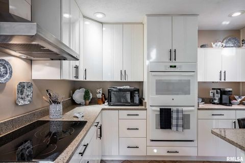 Tiny photo for 402 Majestic Oak Drive, Murphysboro, IL 62966 (MLS # QC4269333)