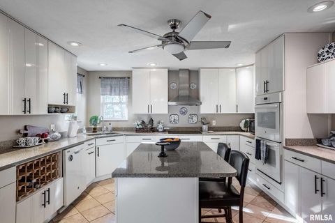 Tiny photo for 402 Majestic Oak Drive, Murphysboro, IL 62966 (MLS # QC4269333)