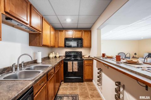 Tiny photo for 402 Majestic Oak Drive, Murphysboro, IL 62966 (MLS # QC4269333)