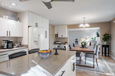 Tiny photo for 402 Majestic Oak Drive, Murphysboro, IL 62966 (MLS # QC4269333)