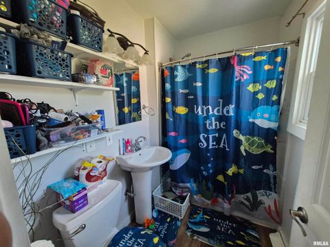 Tiny photo for 110 W PARK Street, Harrisburg, IL 62946 (MLS # EB458459)