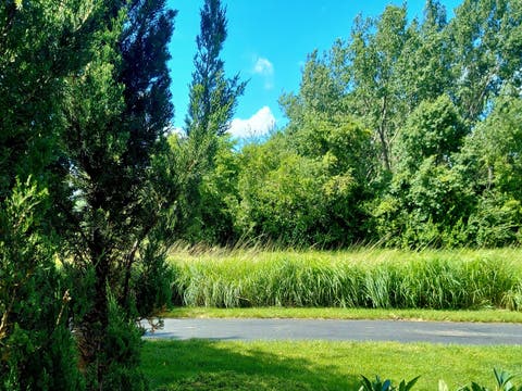 Tiny photo for 1526 Benzie Circle, Romeoville, IL 60446 (MLS # 12702254)