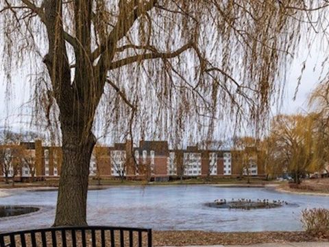 Photo of 225 Lake Boulevard #517, Buffalo Grove, IL 60089 (MLS # 12601173)