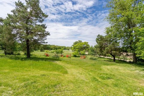 Tiny photo for 3027 262ND Street, De Witt, IA 52742 (MLS # QC4263762)