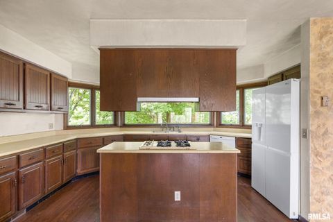 Tiny photo for 3027 262ND Street, De Witt, IA 52742 (MLS # QC4263762)