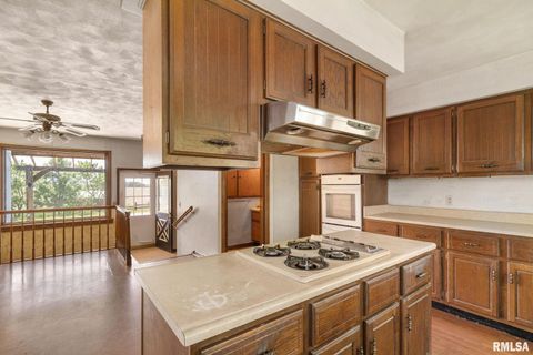 Tiny photo for 3027 262ND Street, De Witt, IA 52742 (MLS # QC4263762)