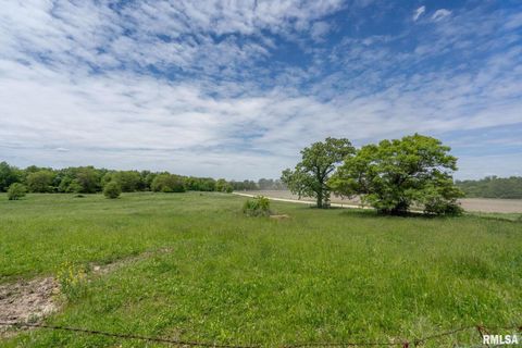 Tiny photo for 3027 262ND Street, De Witt, IA 52742 (MLS # QC4263762)