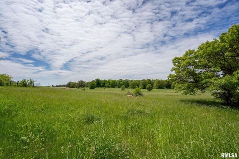 Tiny photo for 3027 262ND Street, De Witt, IA 52742 (MLS # QC4263762)