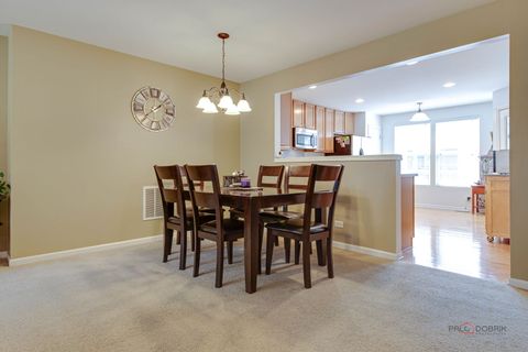 Tiny photo for 1077 Crane Point, Elgin, IL 60124 (MLS # 12432144)