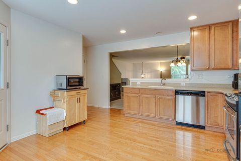 Tiny photo for 1077 Crane Point, Elgin, IL 60124 (MLS # 12432144)