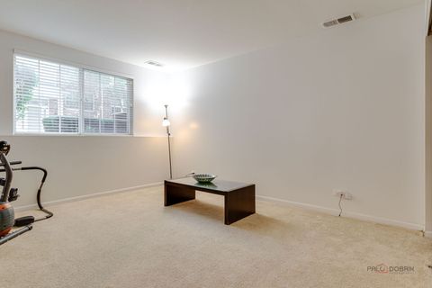 Tiny photo for 1077 Crane Point, Elgin, IL 60124 (MLS # 12432144)