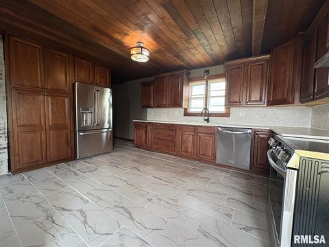 Tiny photo for 2541 130TH Street, Delmar, IA 52037 (MLS # QC4269989)