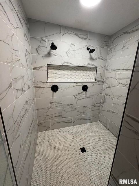 Tiny photo for 2541 130TH Street, Delmar, IA 52037 (MLS # QC4269989)