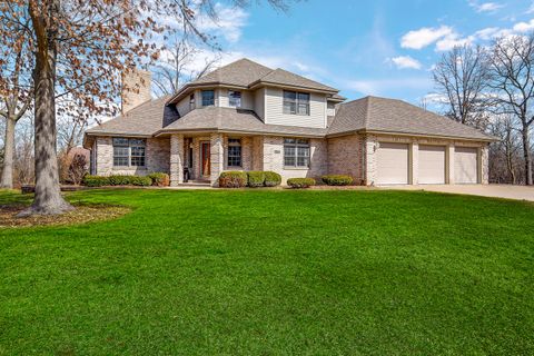 14938 WOOD DUCK Lane Homer Glen IL 60491