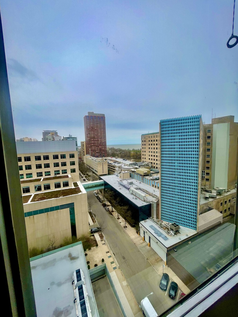 330 W DIVERSEY Parkway 1508