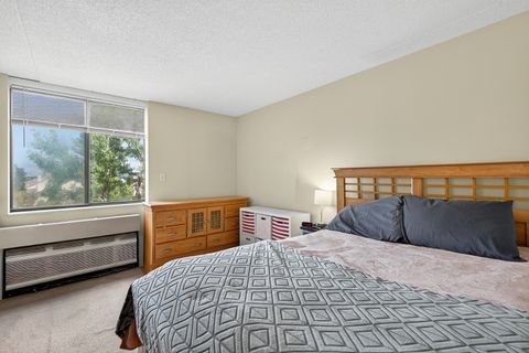 Tiny photo for 75 Kristin Circle #503, Schaumburg, IL 60195 (MLS # 12476505)