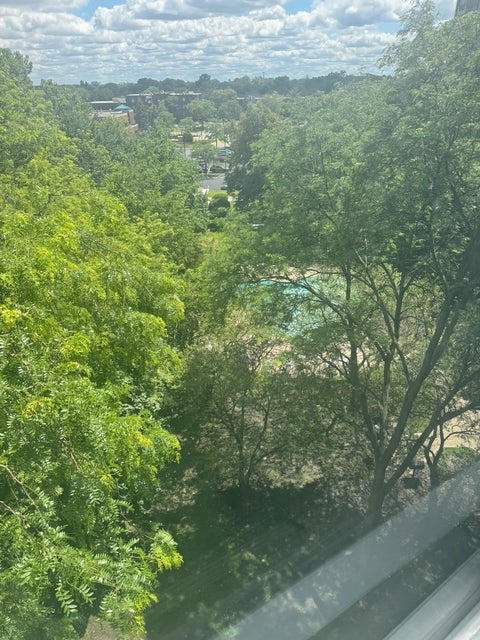Tiny photo for 1 Renaissance Place #617, Palatine, IL 60067 (MLS # 12683954)