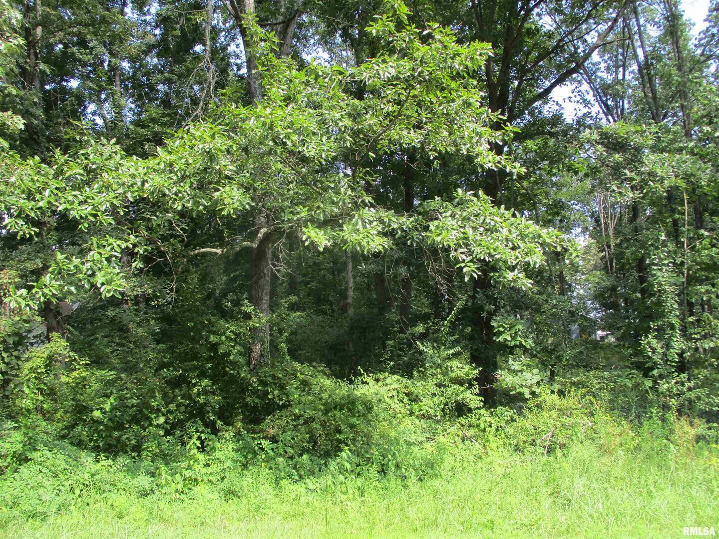 0000 White Birch Court