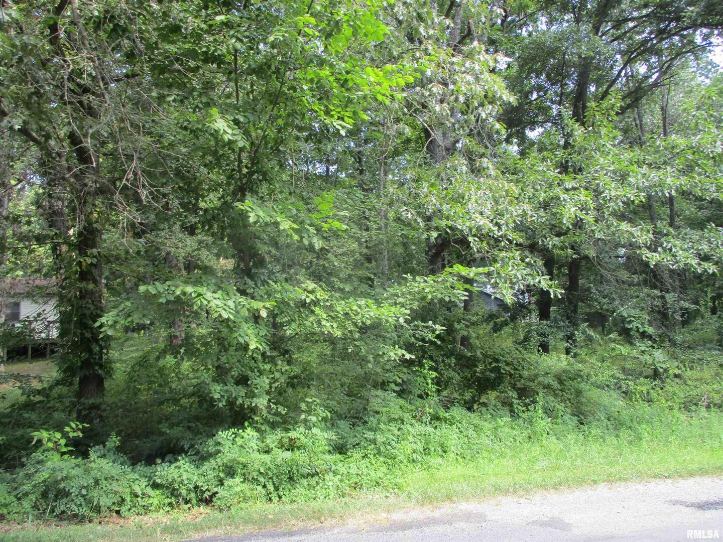 0000 White Birch Court