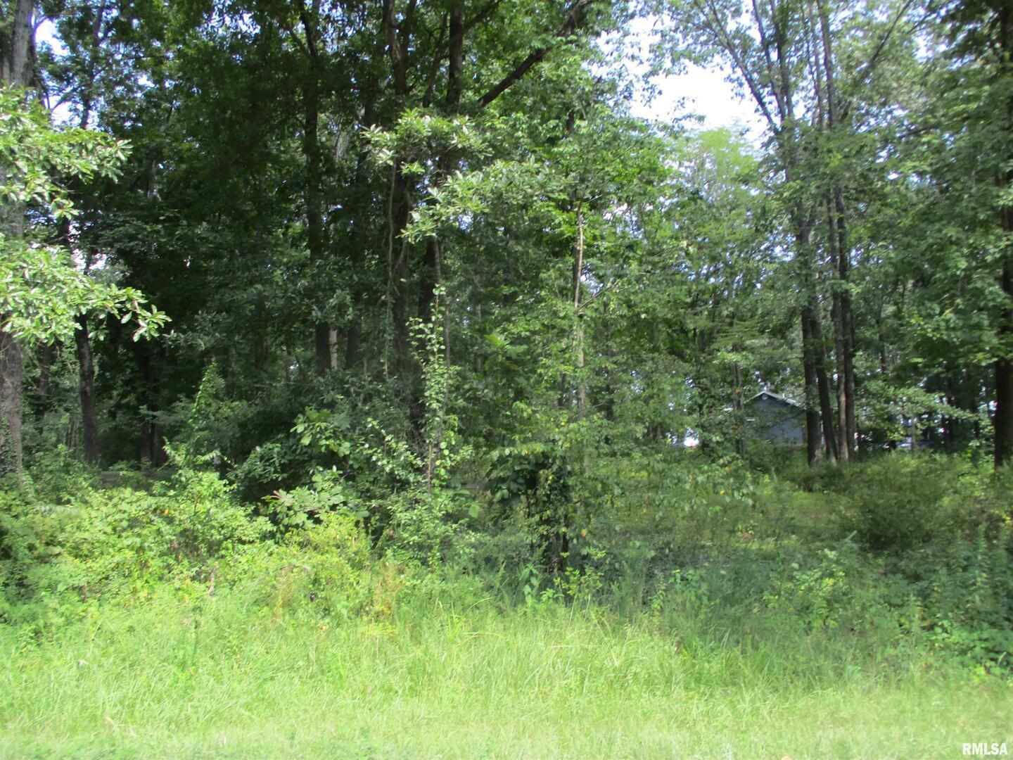 0000 White Birch Court