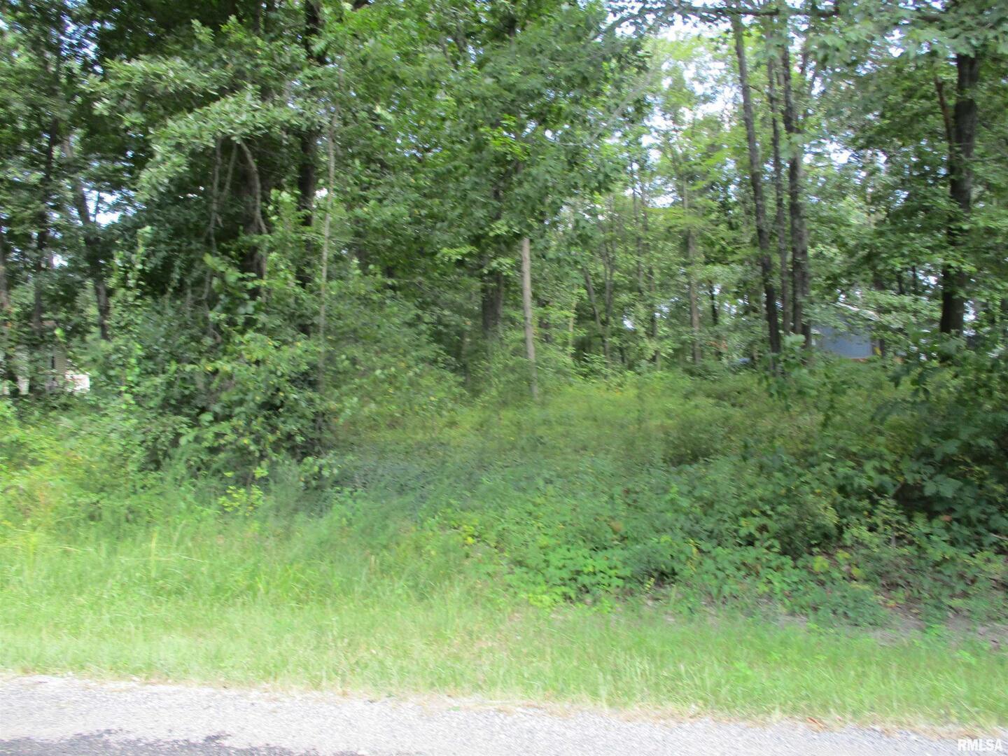 0000 White Birch Court