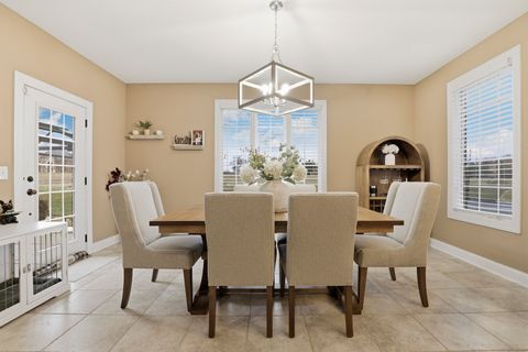 Tiny photo for 8844 Port Washington Drive, Frankfort, IL 60423 (MLS # 12572105)