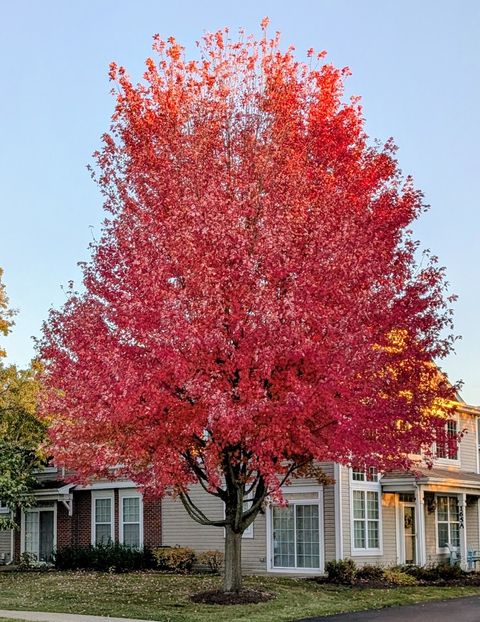 Tiny photo for 165 E Park Avenue #A, Sugar Grove, IL 60554 (MLS # 12588292)