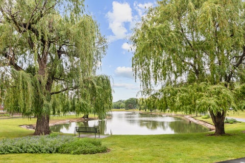 Tiny photo for 840 Wellington Avenue #218, Elk Grove Village, IL 60007 (MLS # 12752295)