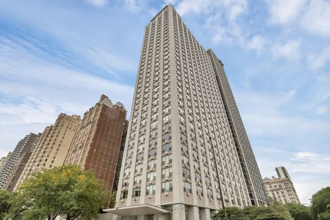 1550 N Lake Shore Drive 2A Chicago IL 60610