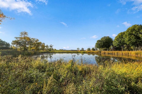 Tiny photo for 170 Salford Drive, Algonquin, IL 60102 (MLS # 12764310)