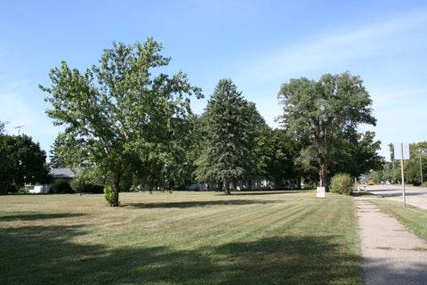 Tiny photo for 621 S Oakwood Street, Oakwood, IL 61858 (MLS # 12714938)