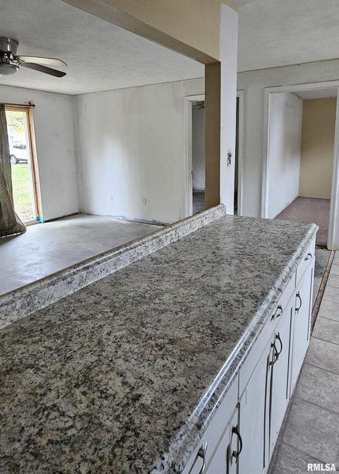 Tiny photo for 104 S PARK Street, Hurst, IL 62949 (MLS # EB460342)