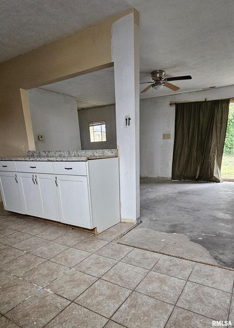 Tiny photo for 104 S PARK Street, Hurst, IL 62949 (MLS # EB460342)