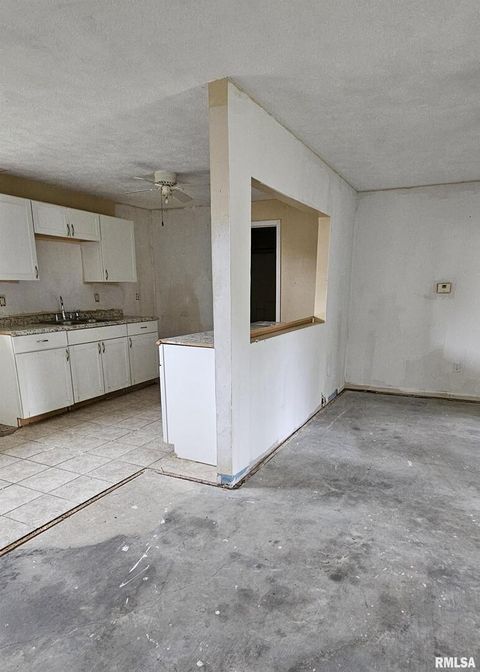 Tiny photo for 104 S PARK Street, Hurst, IL 62949 (MLS # EB460342)