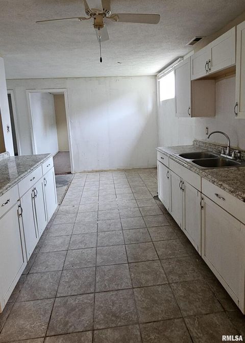 Tiny photo for 104 S PARK Street, Hurst, IL 62949 (MLS # EB460342)