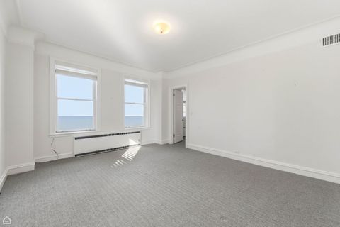 Tiny photo for 4950 S Chicago Beach Drive #13A, Chicago, IL 60615 (MLS # 12569097)