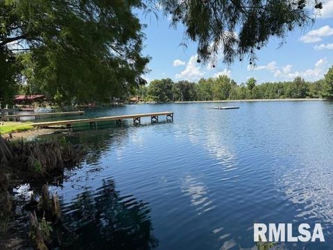 Tiny photo for 84 S New Thompson Lake Road, Carbondale, IL 62901 (MLS # EB460161)