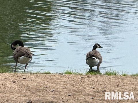 Tiny photo for 84 S New Thompson Lake Road, Carbondale, IL 62901 (MLS # EB460161)