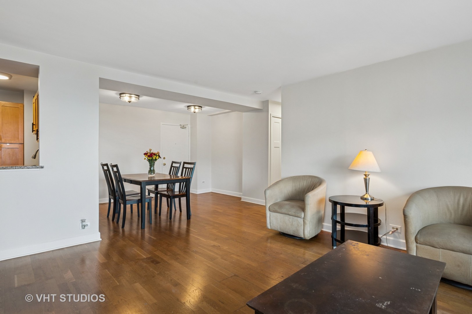 2909 N SHERIDAN Road 1309